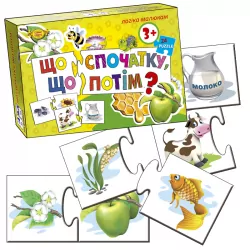 Гра "Що спочатку, що потім?" Майстер МКМ0317 (377001)