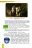 Українська мова 11 клас Підручник (рівень стандарту) Заболотний Генеза (Укр) Генеза (9789661100588) (304402)