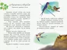Коралові казки Казка на ніч (Рос) Сонечко Ч1223023Р (9786170956842) (346602)