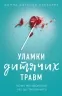 Уламки дитячих травм. Чому ми хворіємо і як це припинити – Донна Джексон Наказава (Укр) BookChef (9786175483404) (547202)