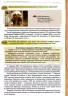 Історія України 10 клас Підручник (рівень стандарту) Пометун О.І. (Укр) Оріон (9786177485932) (313503)