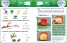 SMARTліто. Іду у 3 клас. Оновлене видання – Коваль Н.М. (Укр) АРТ (9786170994622) (541304)