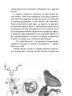 Проза 9+: НЛО за селом (Укр) Ранок R987009У (9786170962881) (431607)
