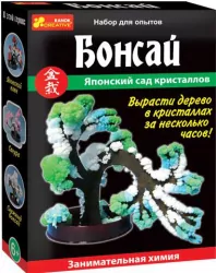 Японський сад кристалів "Бонсай" 15138001Р Ranok-Creative (4823076100148) (207607)