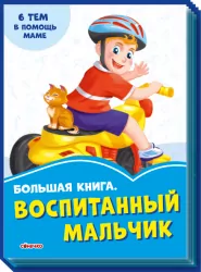 Волошкові книжки Велика книга Вихований хлопчик (Рос) Сонечко А1231014Р (9789667496951) (343608)