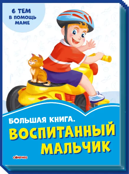 Волошкові книжки Велика книга Вихований хлопчик (Рос) Сонечко А1231014Р (9789667496951) (343608)