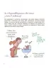 Як працюють мої емоції. Книжка для дітей (і дорослих). Для турботливих батьків. Філіп Грімбер (Укр) 4MAMAS (9786170042934) (518910)