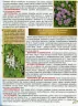 Повний атлас лікарських рослин. Алексєєв І., Діброва А. (Укр) Глорія (9786175363263) (300711)
