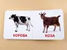 Книжка для найменших. Свійські тварини. Книга на картоні Зірка 70634 (9789663338910) (286312)