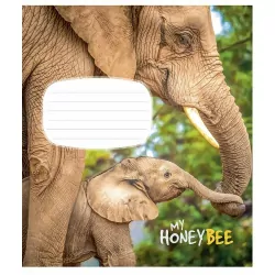 Зошит учнівський 12 аркушів, клітинка. My honey bee. Star 2944K (4820006472054) (474413)