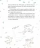 Тиранозавр Рекс – Смаль Ю. (Укр) Видавництво Старого Лева (9789664483824) (524413)