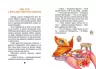 Пригоди динозавриків Заржицька Е.І. (Укр) Талант (9789669358905) (428815)