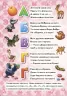 Велика книга пазлів (подарункова): Абетка (р) Ранок А157006Р (978-966-74-5746-4) (221116)