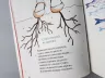 Як бути усвідомленим. Анна Барнс. Мотиватори (Укр) Фабула ФБ721007У (9786170935359) (273518)