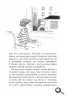E-BOOK. Лола та єдиний свідок. Усі пригоди Лоли. Абеді Ізабель. Книга 9 (Укр) Ранок Ч1193022У (9786170953278) (349418)