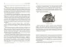 E-BOOK. Шалені задуми. Сафі Бакал (Укр) Фабула ФБ1056122У (9786170968265) (443820)