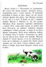НУШ Читанка 1 клас. Перші кроки В. О. Науменко, І. Г. Сухопара. Літера Л0970У (9789661789769) (299420)