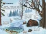 Наша планета. Енциклопедія дошкільника (Укр) Ранок (9786170956484) (343021)