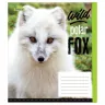 Зошит учнівський 1Вересня 24 аркуша, лінія /762499/ "Wild fox" (463822)