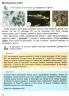 НУШ Я досліджую світ 3 клас. Підручник. Частина 2 ( у 2-х частинах) Іщенко О. Ващенко О. Романенко Л. Кліщ О. (Укр) Літера Л1135У (9789669451514) (434823)