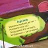 Книга Пори року Віконця у весну (Укр) Кенгуру КН991002У (9789667492816) (298224)