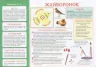 Творчість в дитячому садку 2 частина 3-4 років (Укр) Робочі зошити Ранок (12113108У) (4823076128159) (269026)