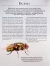 Велика книга тварин. Клаудія Мартін (Укр) Vivat (9786171704794) (519727)