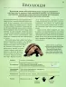 Велика книга тварин. Клаудія Мартін (Укр) Vivat (9786171704794) (519727)