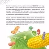 Просто про науку. Суперїжа для супергероїв. Бушковська Н. (Укр) АССА (9786178229160) (498132)