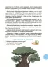 E-BOOK. Читанка-Ч0МУчка – Заржицька Е.І. (Укр) Основа (9786170043375) (541633)