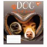 Зошит учнівський 12 аркушів, лінія. Dog friend. YES 765503 (4823092255044) (475833)