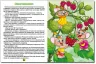 Казочки помічникики (Укр) Глорія (9786175368756) (346733)