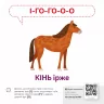 Звуконаслідування. Тварини QR (Укр) Кенгуру (9789667508890) (476135)