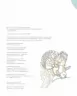 Від точки до точки. Дикий рай. 30 челенджів для дозвілля (Укр) Жорж Z101045У (9786177853243) (447935)