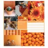 Зошит учнівський 24 аркуші, клітинка. Collage pantone. YES 764988 (4823092260468) (475836)