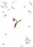 My Smash Book 11 (Укр) Талант (9789669355973) (435137)