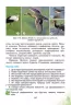 Природознавство 4 клас Підручник Гільберг Т.Г. (Укр) Генеза (9789661106078) (295838)