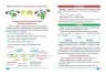Українська мова 1-4 класи. Зручний довідник. Легко та зрозуміло. Твердохвалова І. А. (Укр) Торсінг (9786175241387) (494240)