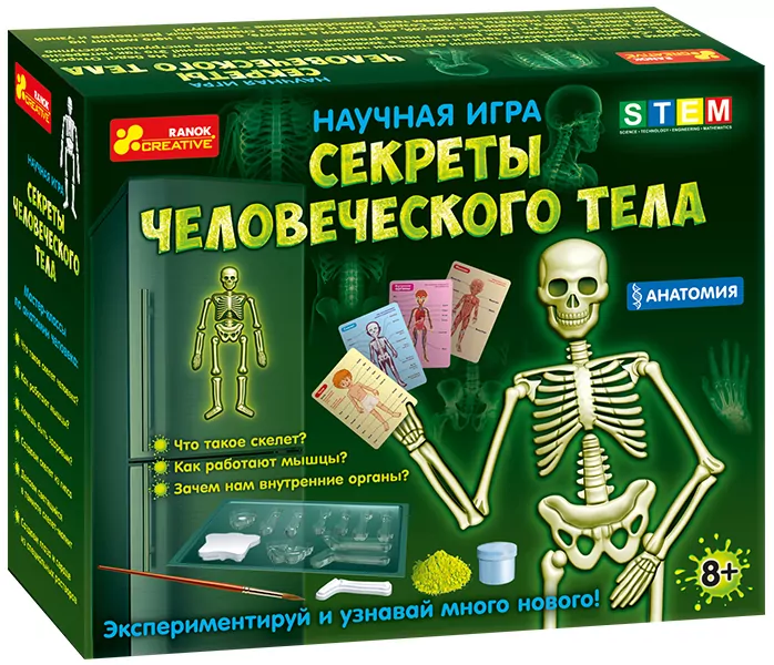 Анатомія скелет людини (Рос) Ranok-Creative 12115017Р (4823076133658) (300642)