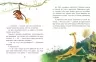 Моє перше читання. Казки - хвилинки. Школа Кенгуру. Моніч О.Б., Федорова К.С. (Укр) Кенгуру (9786170982001) (491542)