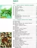 Всесвітня історія. Історія України 6 клас. Підручник. Інтегрований курс. Гісем О. В., Гісем О.О. (Укр) Ранок (9786170982384) (492645)