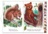 Книга Малятам про звіряток У лісі (Укр) М322016У Ранок (9789667502096) (431046)