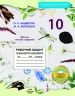 Біологія і екологія 10 клас Робочий зошит (2020) Андерсон, Вихренко (Укр) Школяр (462347)