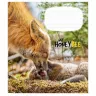 Зошит учнівський My honey bee 18 аркушів, клітинка. Star 2944K (4820006472085) (473347)