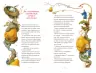 Момотаро. Японські народні казки (Укр) А-ба-ба-га-ла-ма-га (9786175850640) (282148)