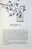 Блиск. Золота бранка. Книга 1 – Рейвен Кеннеді (Укр) КСД (9786171503984) (507249)