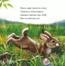 Книга на картоні Милі звірятка (нові): Зайчик (р) Ранок А582009Р (9789667489717) (293051)