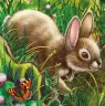 Книга на картоні Милі звірятка (нові): Зайчик (р) Ранок А582009Р (9789667489717) (293051)