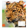 Зошит учнівський Animal 18 аркушів, клітинка. YES 764975 (4823092260048) (473351)