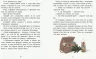 Казки з усього світу Два брати (Рос) Ранок С915004Р (9786170960856) (350852)